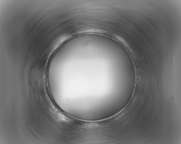 X0000078891282200611201427