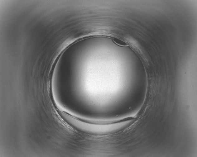 X0000078891284200611201427