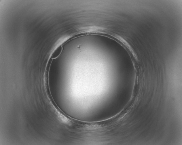 X0000078891285200611201427