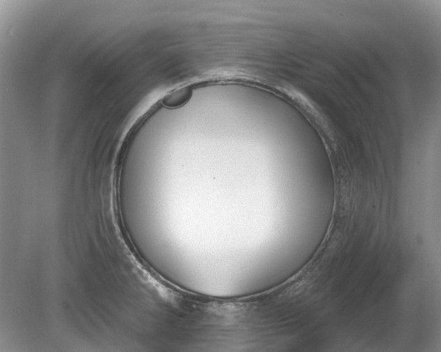 X0000078891286200611201427