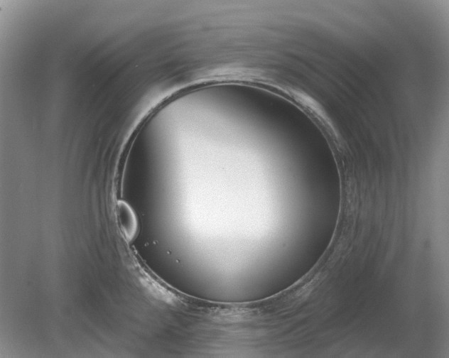 X0000078891288200611201427