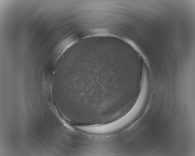 X0000078891289200611201427