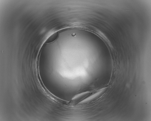 X0000078891291200611201427