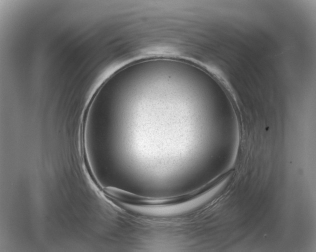 X0000078891295200611201427