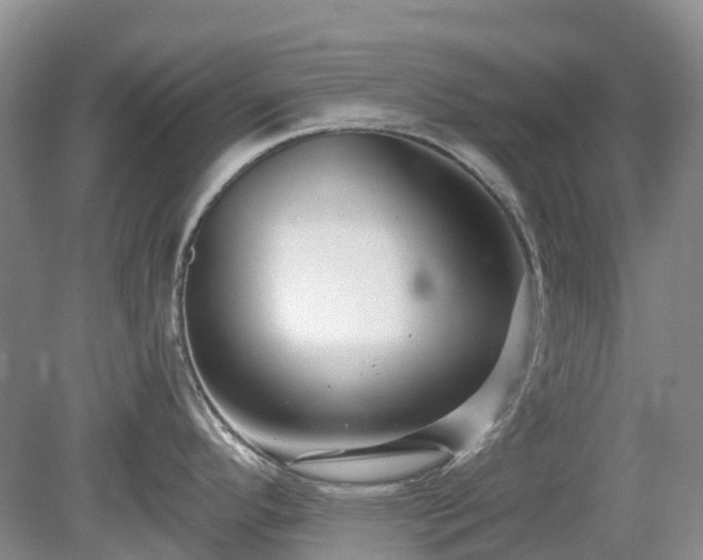 X0000078891296200611201427