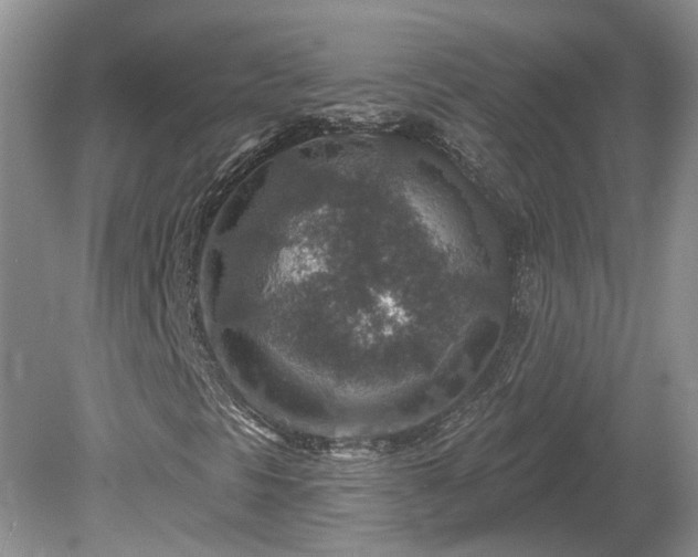 X0000078891297200611201426