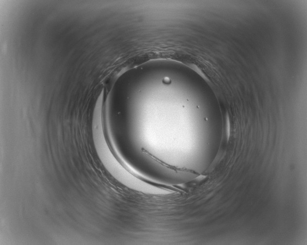 X0000078891298200611201426