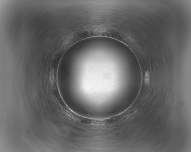 X0000078891299200611201426