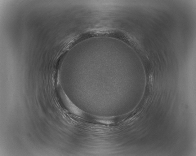 X0000078891300200611201426