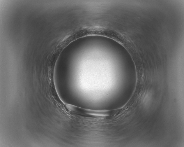 X0000078891301200611201426