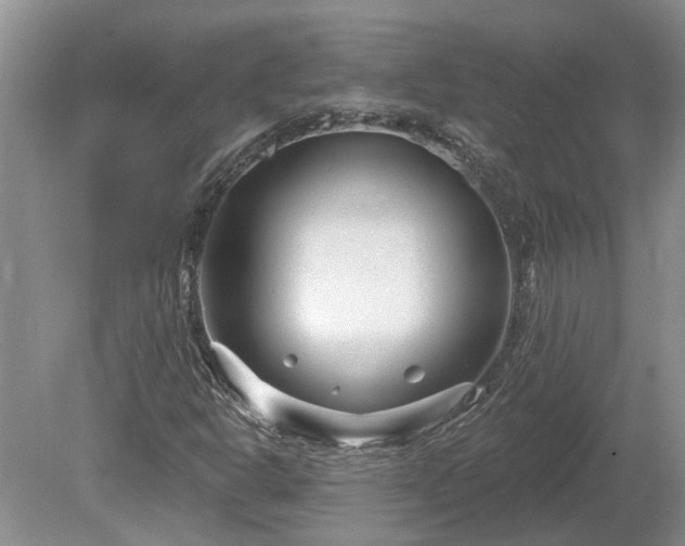 X0000078891302200611201426