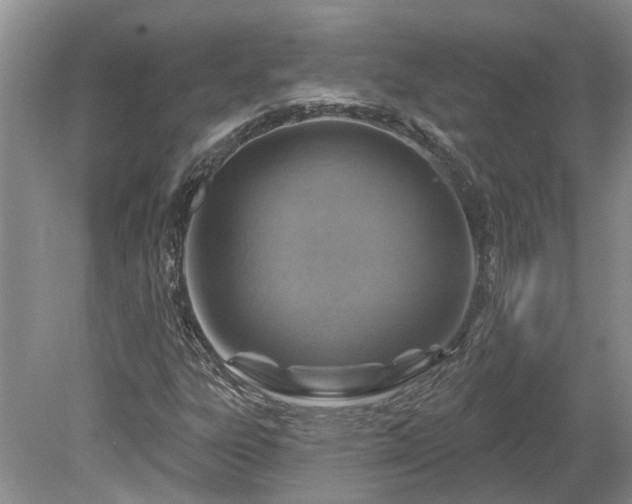 X0000078891303200611201426