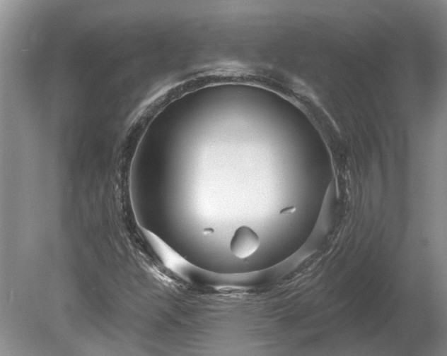 X0000078891304200611201426