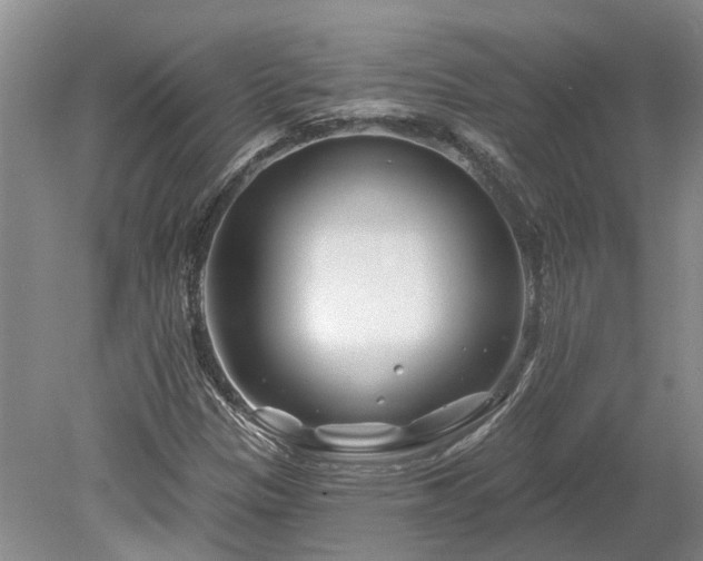 X0000078891305200611201426