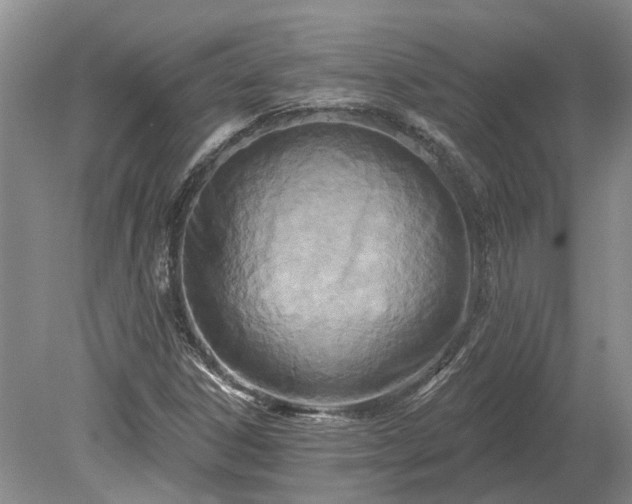 X0000078891306200611201426