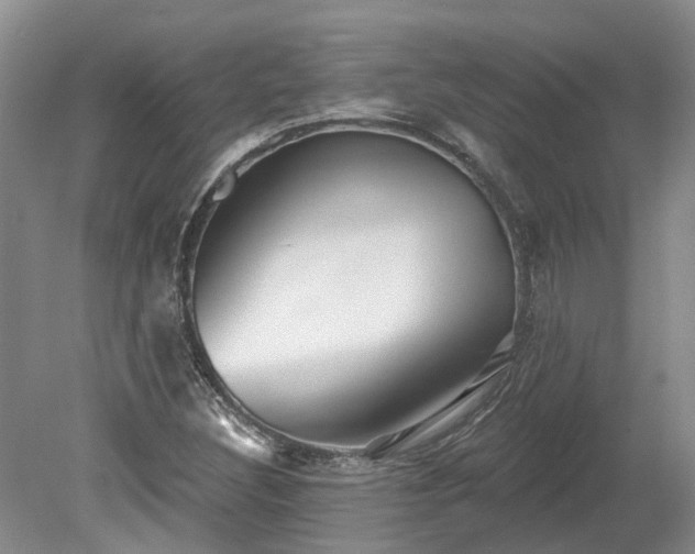 X0000078891308200611201426