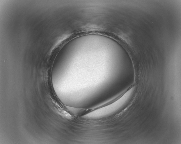 X0000078891309200611201426