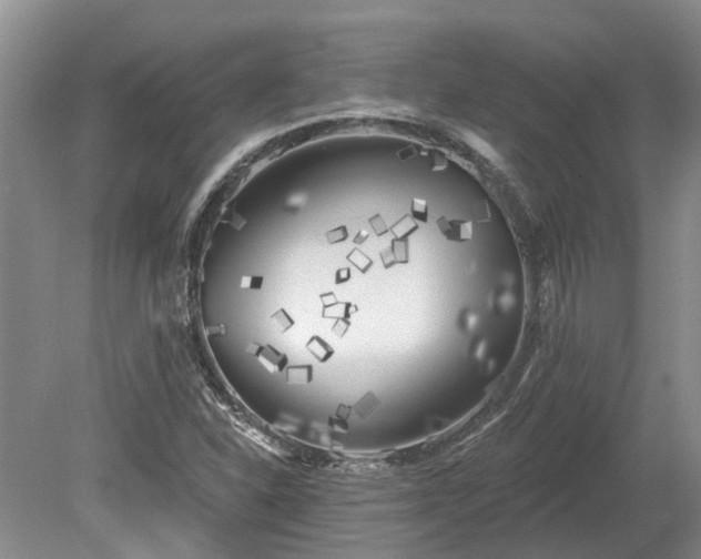 X0000078891310200611201426