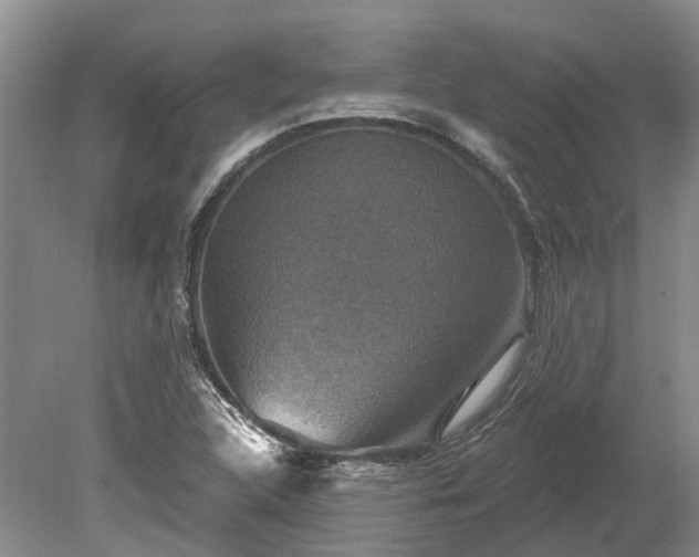 X0000078891312200611201426