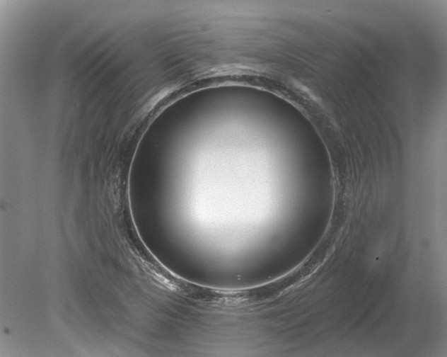 X0000078891313200611201426