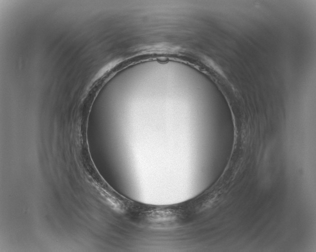 X0000078891315200611201426