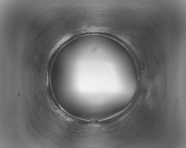 X0000078891317200611201426