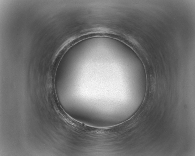 X0000078891318200611201426