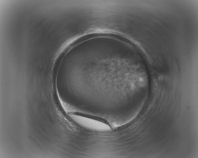 X0000078891319200611201426