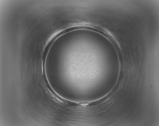 X0000078891320200611201426