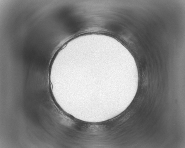 X0000078891322200611201426