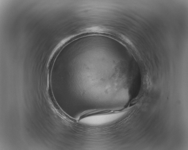 X0000078891323200611201426