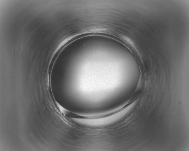 X0000078891324200611201426