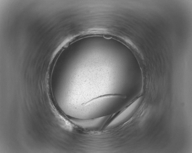 X0000078891325200611201426