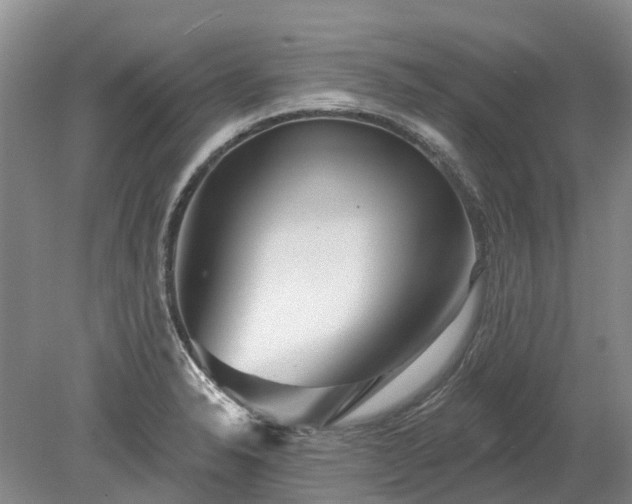 X0000078891326200611201426