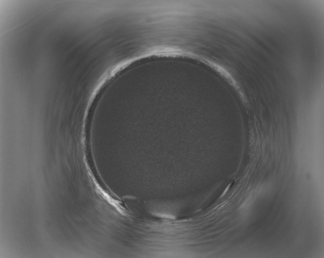 X0000078891327200611201426