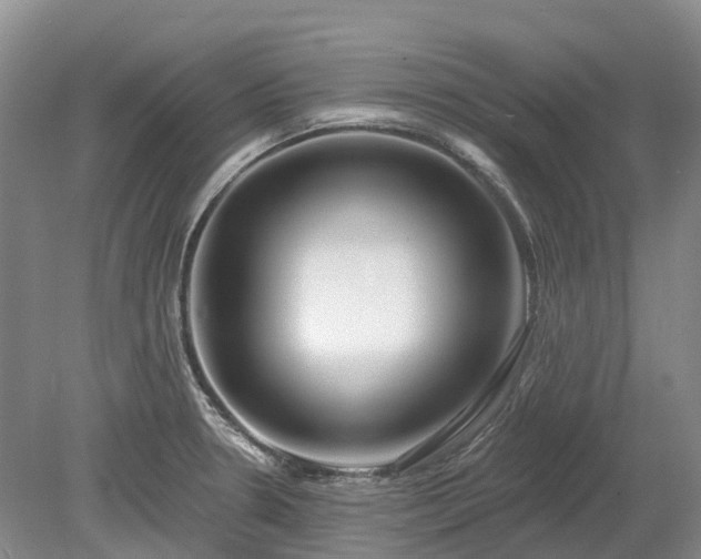 X0000078891330200611201426