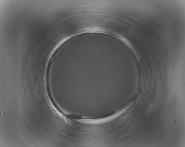 X0000078891331200611201426