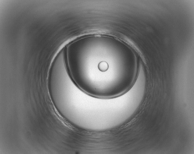 X0000078891332200611201426