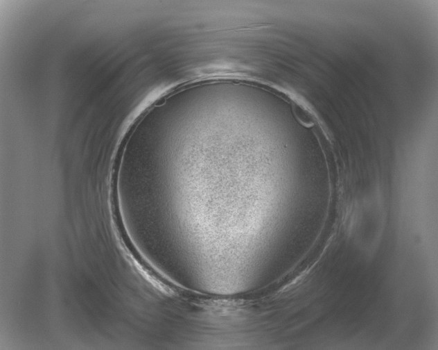 X0000078891333200611201426