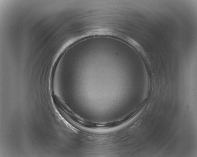 X0000078891334200611201427