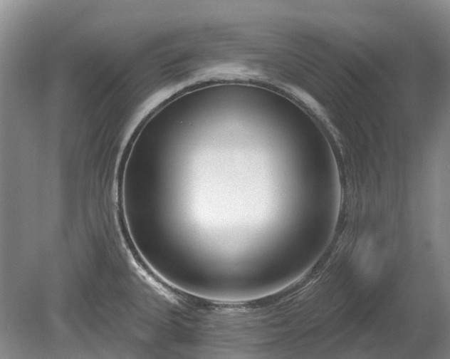 X0000078891335200611201427