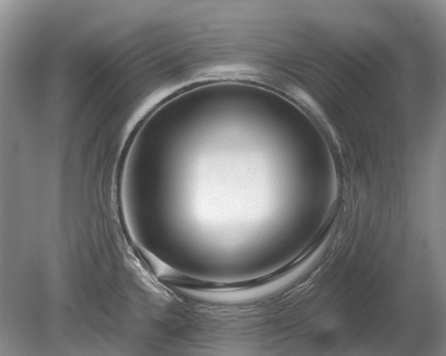 X0000078891336200611201427