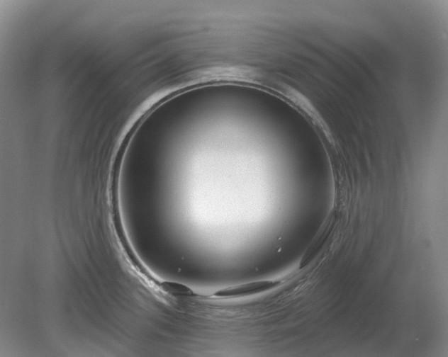 X0000078891339200611201427