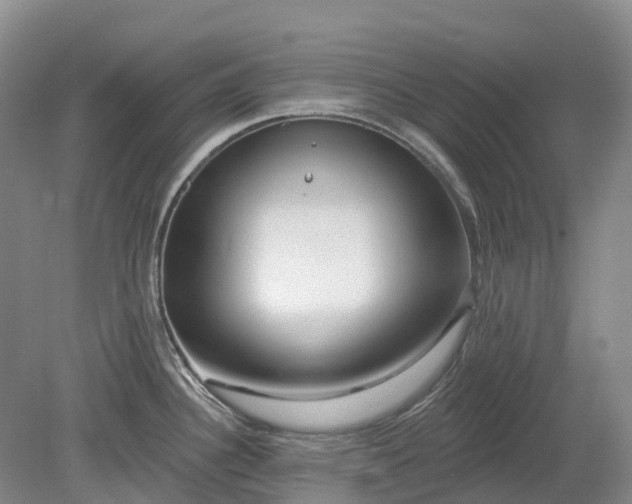 X0000078891340200611201427