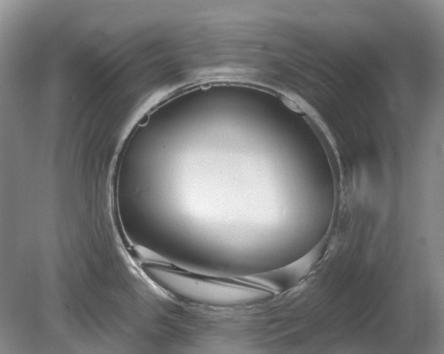 X0000078891341200611201427