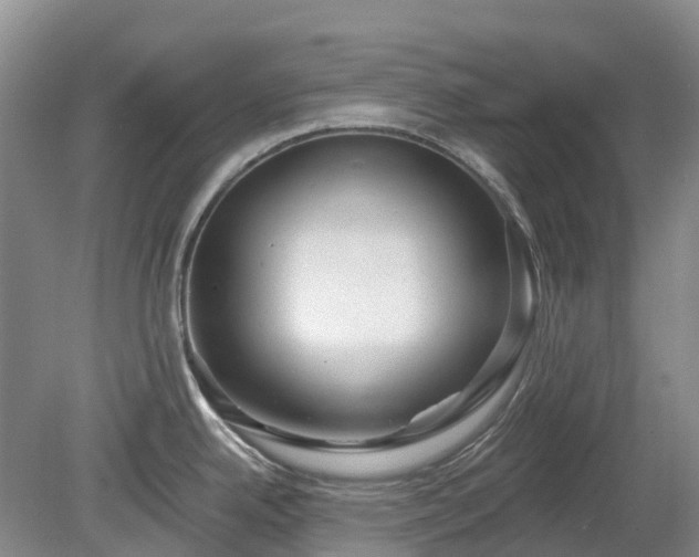 X0000078891342200611201427