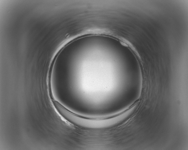 X0000078891343200611201427