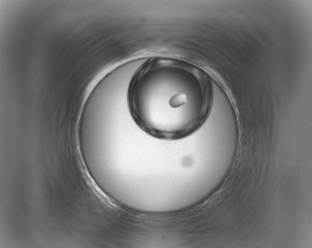 X0000078891344200611201427