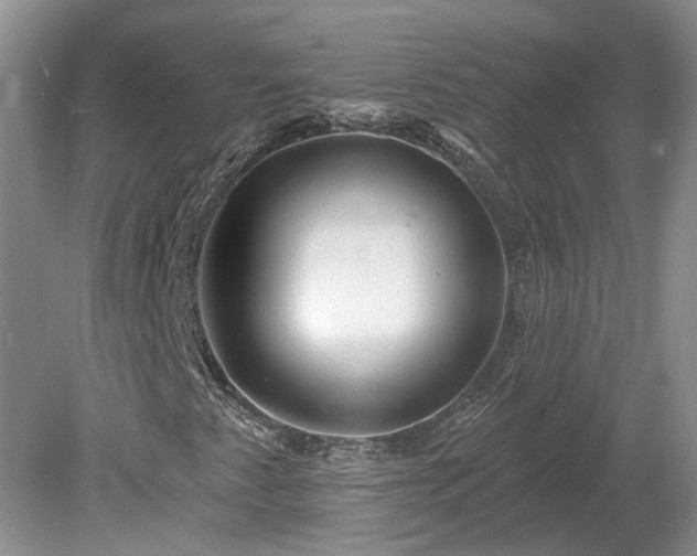 X0000078891345200611201426