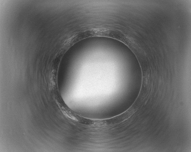 X0000078891346200611201426